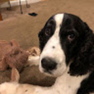 Meet your Posher, Isabelle